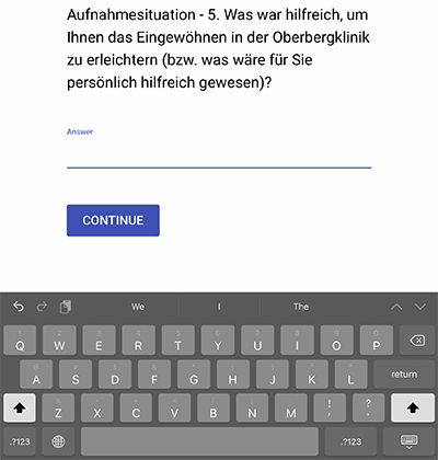 Freitexteingabe Beispiel einer Freitexteingabe